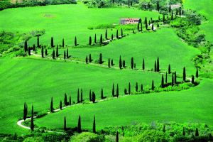 Provinz Siena